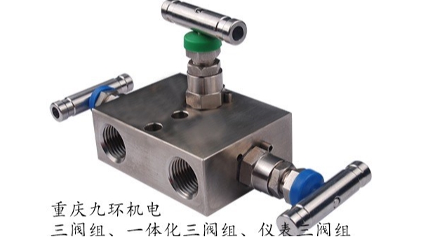 儀表閥組_儀表管接頭_儀表閥門_空調(diào)接頭-重慶九環(huán)機(jī)電主營產(chǎn)品